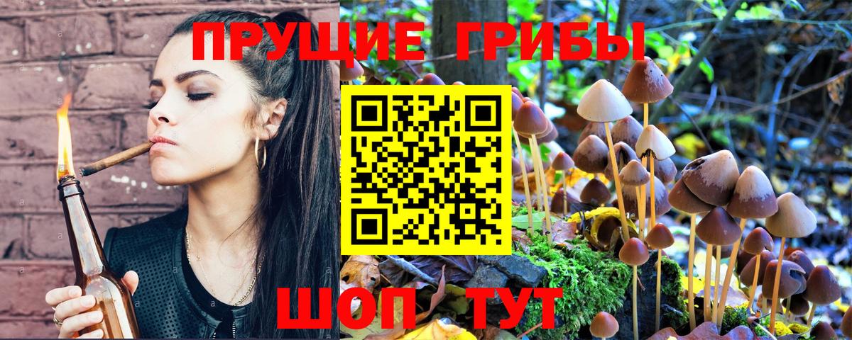Галлюциногенные грибы GOLDEN TEACHER  Вход с VPN  цена   Спасск-Дальний 