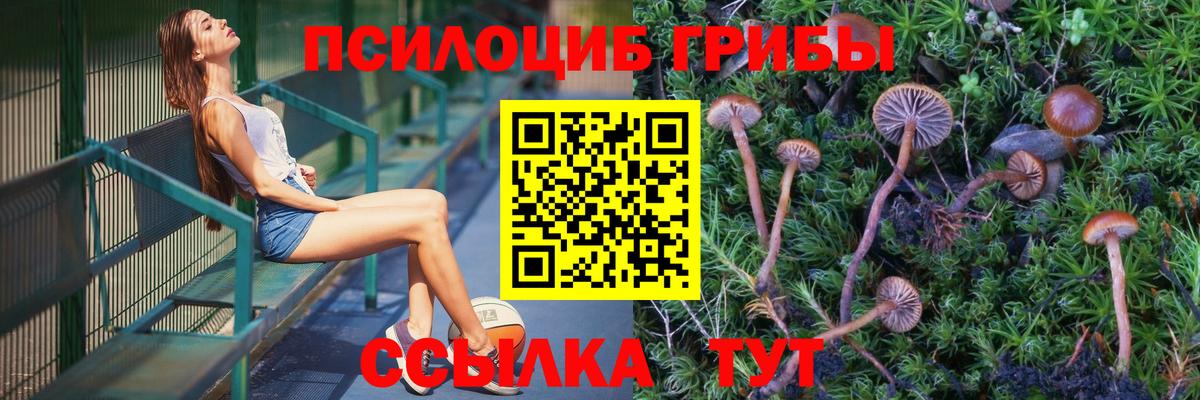 Галлюциногенные грибы Psilocybe Спасск-Дальний